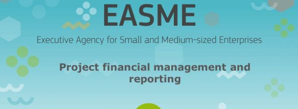 EASME webinar to GEO-CRADLE partners on project financial management and reporting