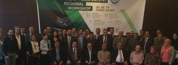 INVITATION: GEO-CRADLE  Regional Workshop, 25/05/2017, Cairo