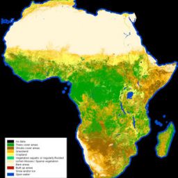 african_land_cover_medium
